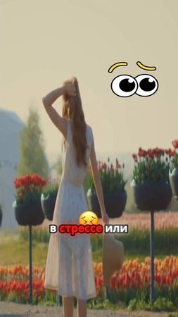 Почему полезные жиры и настрой важнее диет для сытости