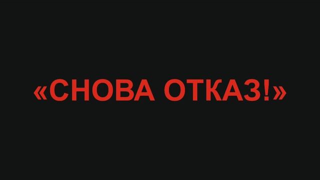 Пермь осваивает государственные деньги на собаках!