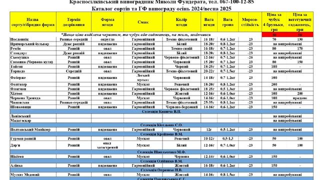 КАТАЛОГ осінь 2024/весна 2025❗️Для зручнішого перегляду смотреть онлайн