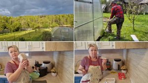 ОТРЕЗАЛИ ПЫРЕЮ ВСЕ ПУТИ ДОСТУПА В ТЕПЛИЦУ. ДЕЛАЮ НАМАЗКУ ИЗ САЛА С ЧЕСНОЧКОМ И УКРОПЧИКОМ.