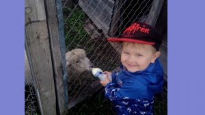 Счастливые моменты нашей семьи