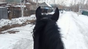 Когда лошадь не слушается