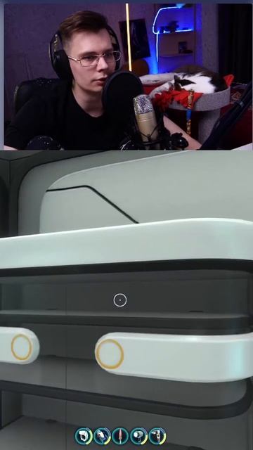 КОШКА АКТИВИРОВАЛА РОБОТ-ПЫЛЕСОС | ДЕЛАЕМ БАЗУ | ОБЩАЕ? смотреть онлайн