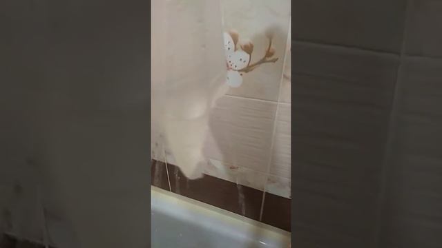 3 простых эксперимента!!! смотреть онлайн