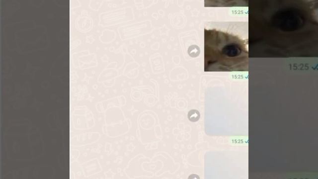 Божечки кошечки я плачу😭Спасибо вам что вы есть,вы та смотреть онлайн