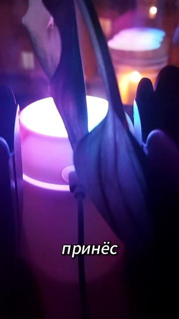 Увлажнитель воздуха мини OZON/ АРТ: 1421814259 смотреть онлайн