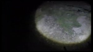 Крым рыбалка Орлянка 2025