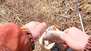 3 ЩУКИ ЗА РАЗ ДО ЭТОГО Я ЕЩЁ НЕ ЛОВИЛ!!! Рыбалка на экран?