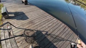 Ловля форели осенью. Fisherix Октябрь 2024