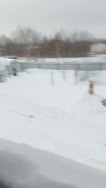 за окном снег