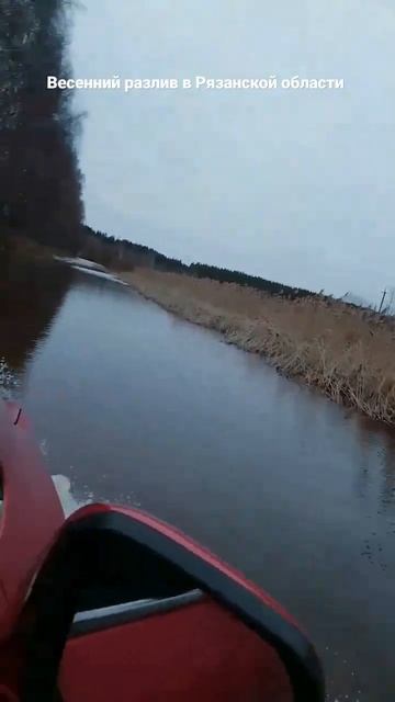 Разлив в Рязанской области смотреть онлайн