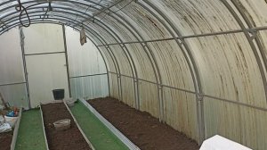 14 мая Утро +2