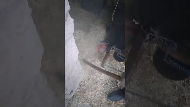 Универсальный станок 3/1 3квт 90 000 тенге тел 8776 235 57 04 смотреть онлайн