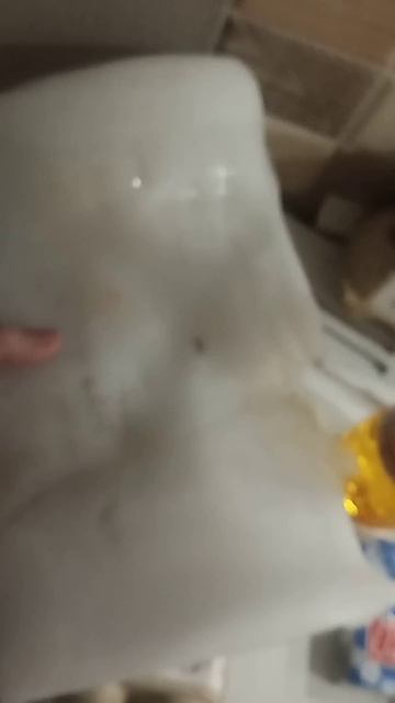 Холодильник отморозок #шортс смотреть онлайн