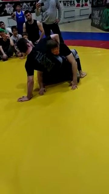 Идрис Мусаев Чёрный пояс по бжж смотреть онлайн