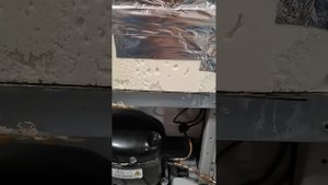 что журчит внутри холодильника Hansa srl17.