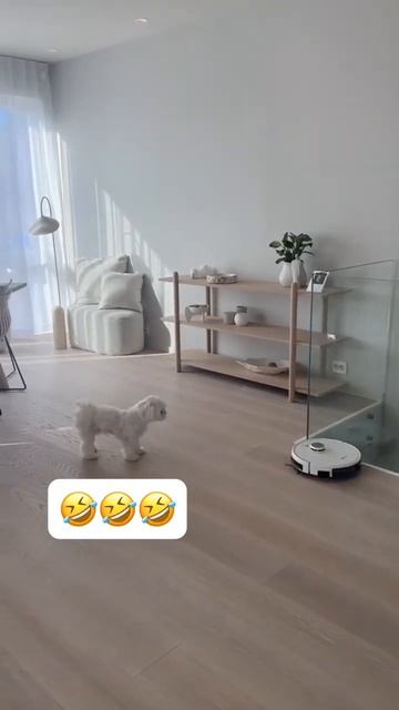 Neatsvor X600pro, который также нравится собакам #Neatsvor#Робот-п смотреть онлайн