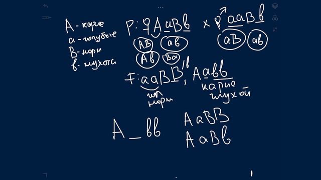 ЕГЭ по биологии. Разбор 6 задания