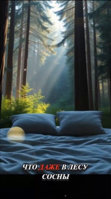 Ваш нос скажет СПАСИБО! 😂 Лайфхак для сухого воздуха ? смотреть онлайн