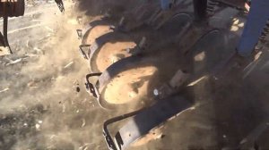 Посев пшеницы 23см  междурядие 2022г.