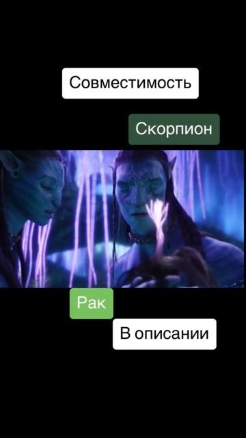 Совместимость Рак и Скорпион - 100%