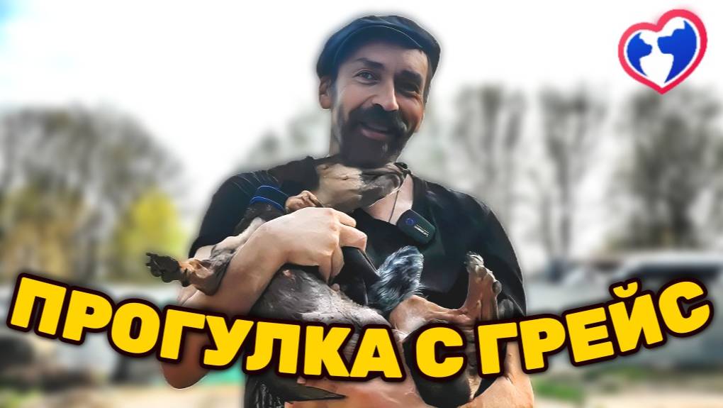 Прогулка с Грейс, которой 120 лет
