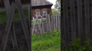 Очередная поездка в деревню / устали и  надоели / потратились и не отдохнули