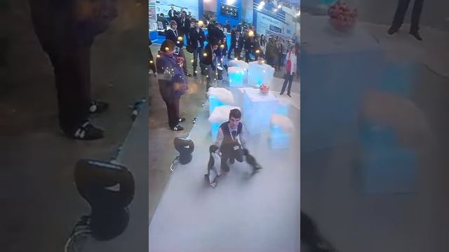 Выставка крокос сити смотреть онлайн