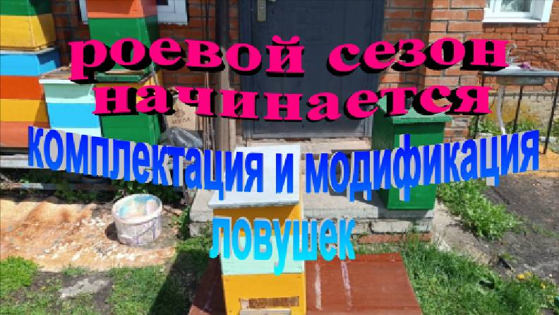Роевой сезон начинается. Комплектация и модификация ловушек смотреть онлайн