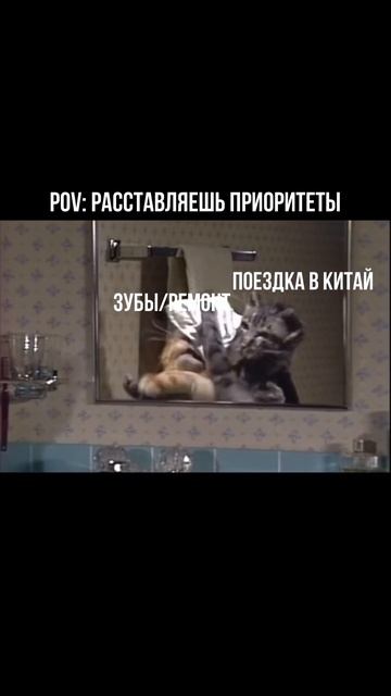 А что выберешь ты? китай китайскийязык китайский китайцы юмор коты мем мемы котики