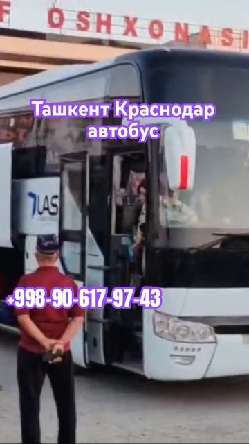 ташкент-краснодар автобус прямой рейс давлат рейслар? смотреть онлайн