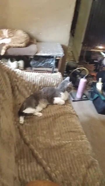 Ремонтируют мне холодильник смотреть онлайн