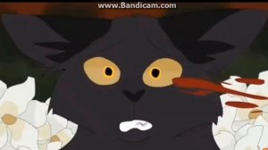 коты воители. Сумеречница и Грач