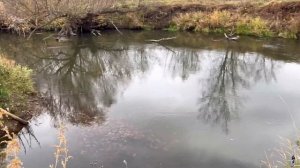 Обзор/Река Зай #2024#fishing#рыбалка#татарстан