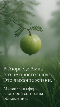 Амла замедляет старение