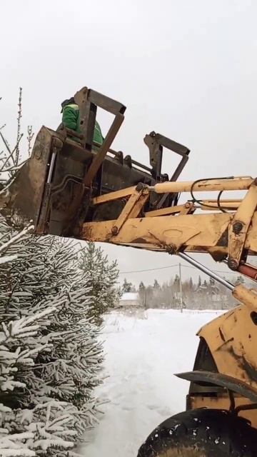 Как правильно нарядить новогоднюю ёлку🎄😂 #длядрузе? смотреть онлайн