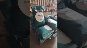 Подсолнечник Кречет (семена) на новый сезон.