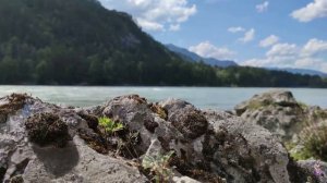 Параграф №27  Физика 7 класс  Единицы силы.