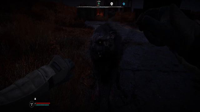 Собака лучший друг человека S.T.A.L.K.E.R. 2 / Сталкер 2 смотреть онлайн