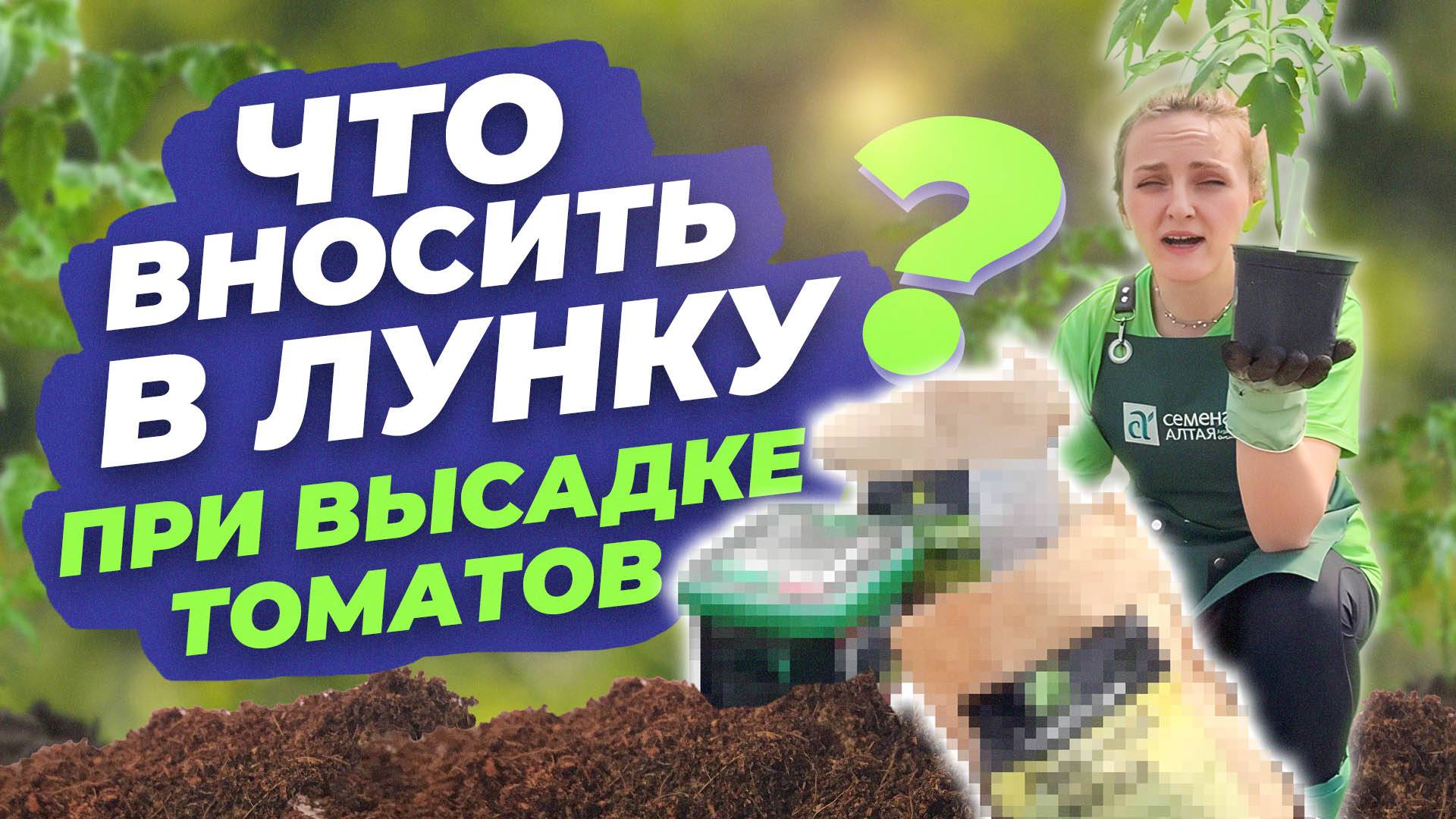 ЧТО ВНОСИТЬ В ЛУНКУ ПРИ ВЫСАДКЕ ТОМАТОВ