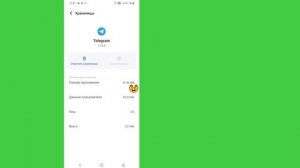 Исправить проблему со входом в Telegram | Верификация теле