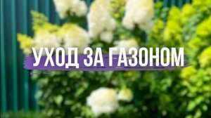 🍀Весна — время пробуждения вашего газона!