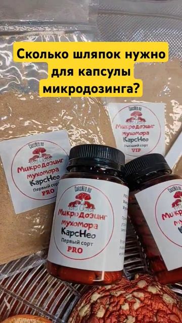 Сколько шляпок нужно для капсулы микродозинга? #микро? смотреть онлайн