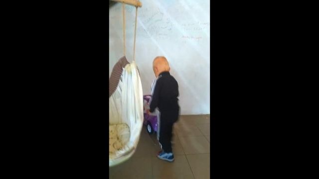 Собачка лающая /СПИНЕР крутится на голове у собачки/суши-бар у моря/ВЛОГ смотреть онлайн