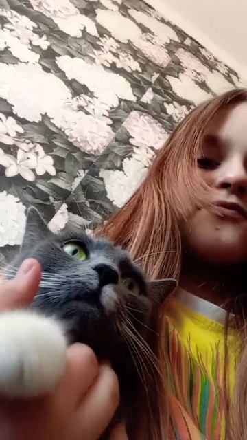 А у вас есть домашнее животное? смотреть онлайн