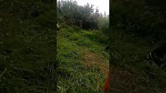 1 часть качели смотреть онлайн