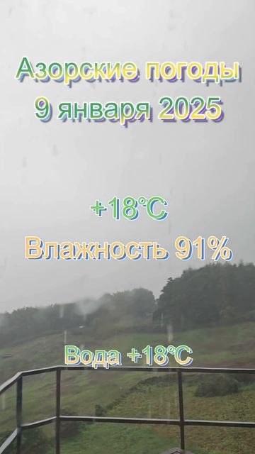 Азорские погоды 9 января 2025