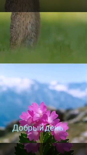 Good day Добрый день смотреть онлайн