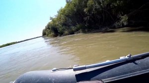 НА СОМА В КОМАРИНЫЕ ДЖУНГЛИ//РЫБАЛКА НА СОМА