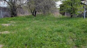 Волковойно Лето